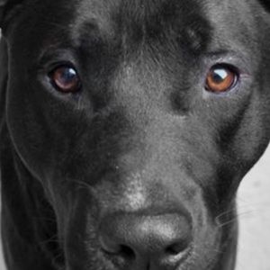 Meet your Posher, Jonah